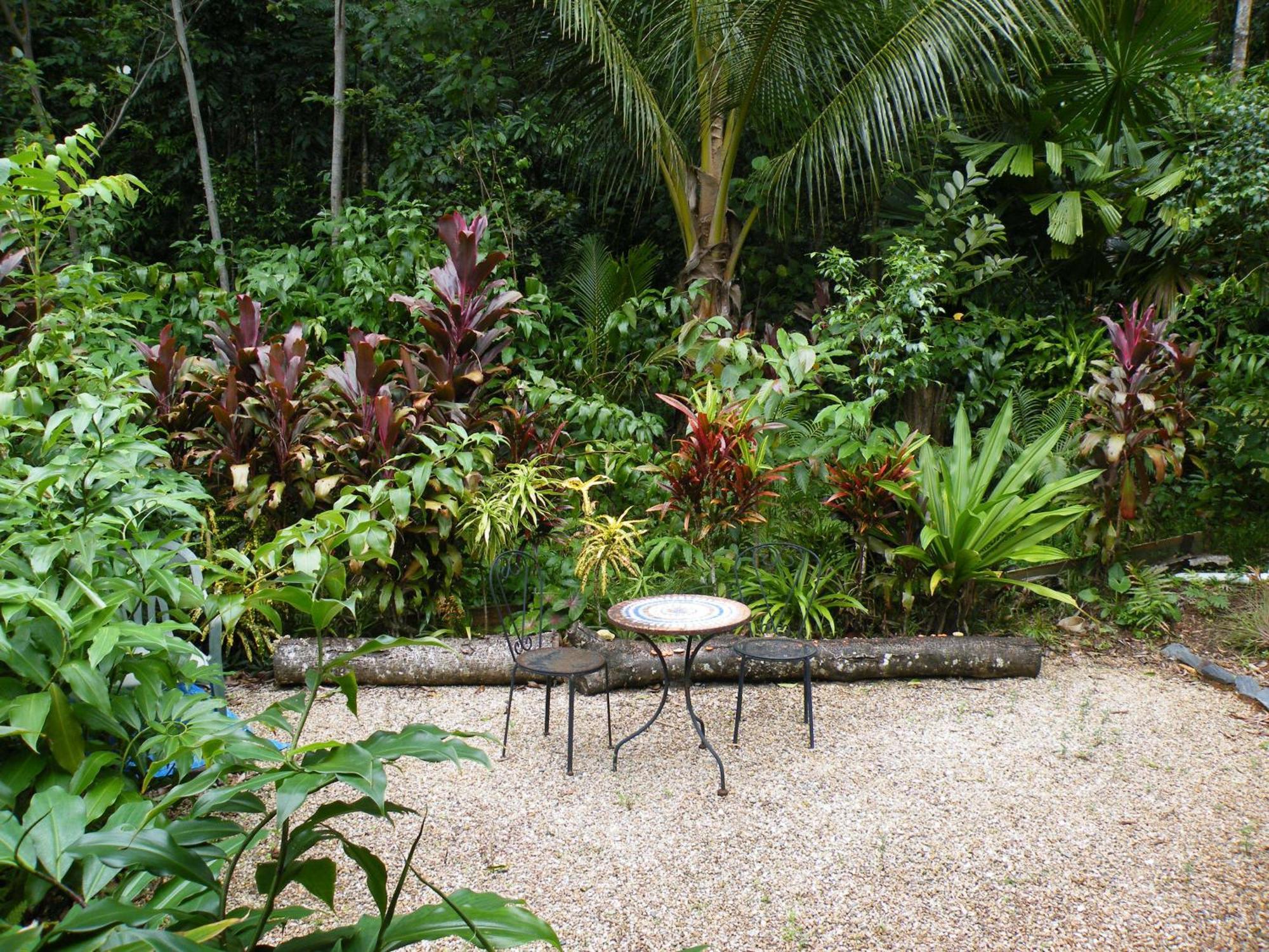 Epiphyte B & B Cow Bay Exterior foto