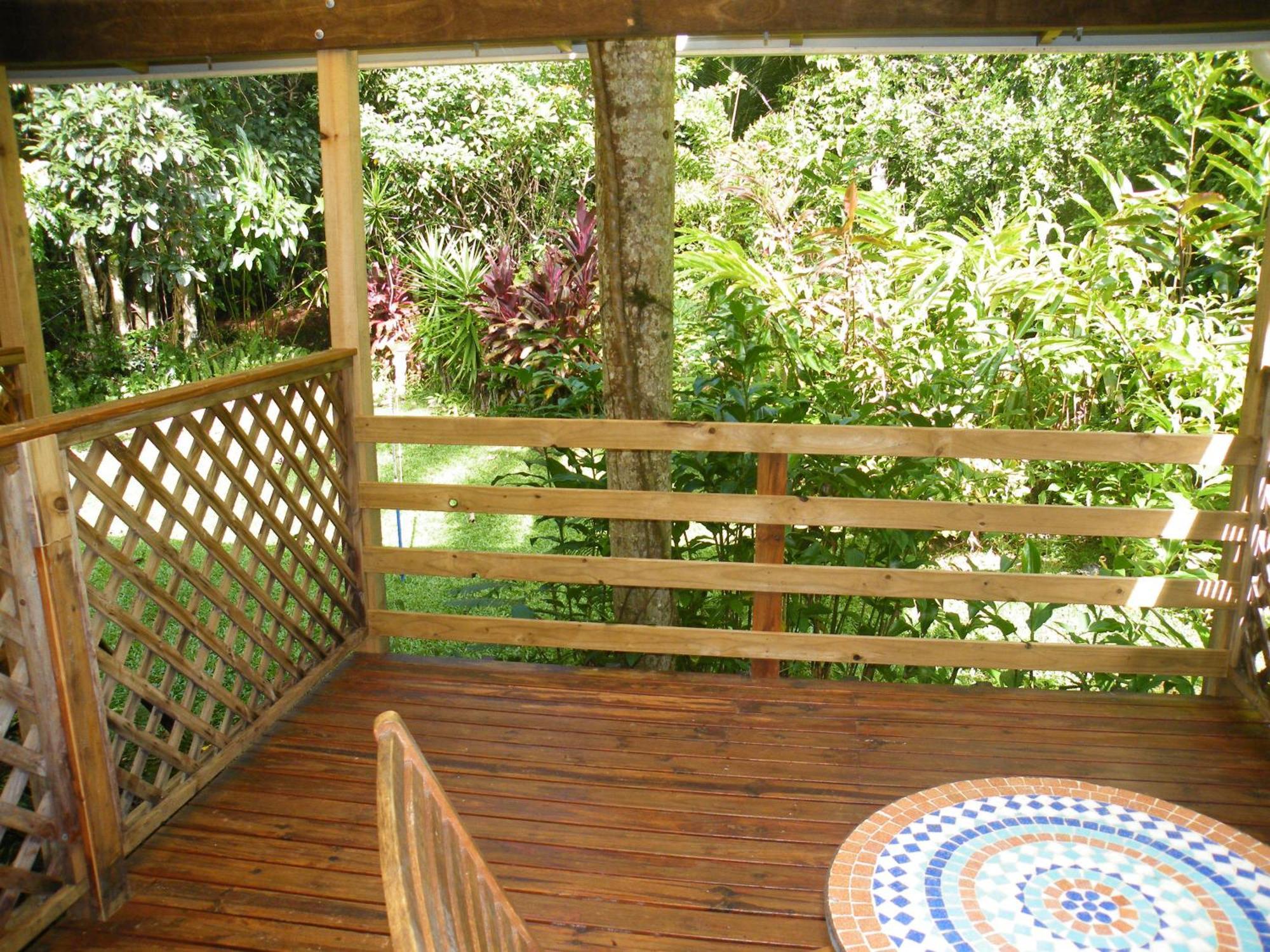 Epiphyte B & B Cow Bay Quarto foto